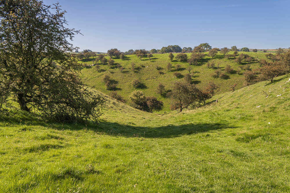 High Dale